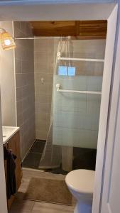 a bathroom with a shower with a toilet and a sink at Chalet paisible dans les Cévennes avec sauna privé in Dourbies +16 photos