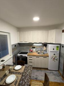 a kitchen with a white refrigerator and a sink at Kuca za odmor Zicanka in Kraljevo +43 photos
