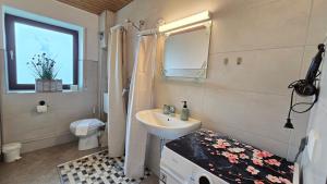 a bathroom with a sink and a toilet and a mirror at Apartment Leidenberger - Nähe Rothenburg & Ansbach - 2 Schlafzimmern in Colmberg +32 photos