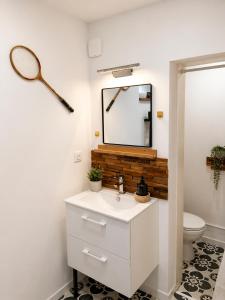 a bathroom with a sink and a mirror at Appartement 4 ou 2 Parking Wifi Terrasse cosy in Condé-sur-Sarthe +19 photos