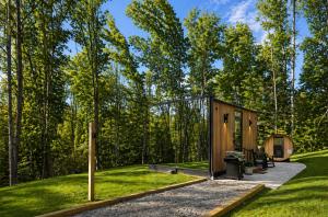 a small cabin in the middle of a forest at The Illusion Hideaway in New Plymouth