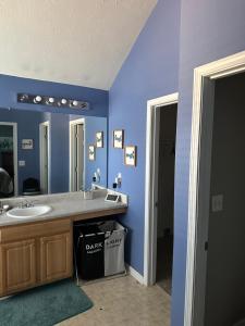 a bathroom with a sink and a large mirror at Country house in Covington +43 photos