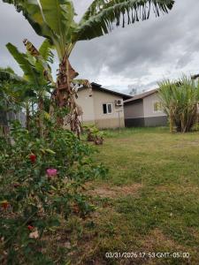 a banana tree in the yard of a house at Jadash house in David