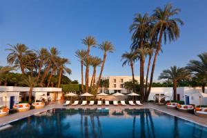 a large swimming pool with palm trees and umbrellas at Hilton Luxor Resort & Spa in Luxor