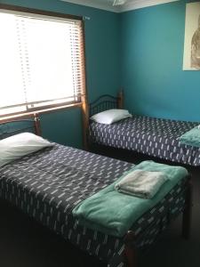two beds in a room with blue walls and a window at Villa on Ferguson in Ipswich