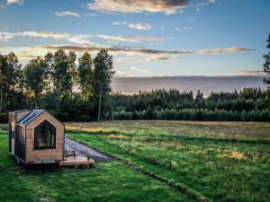 a tiny house in a field with a path at Bostebacken Gard Tiny House by Tiny Away in Eckerud