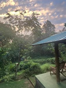 a view of a garden with a bench and a solar roof at Rainforest Tea Garden Cabin-River View in Deniyaya