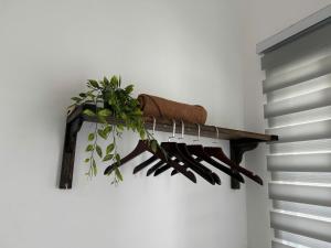 a wooden knife rack with a plant on a wall at Mây 2 homestay Phan Rang in Bắc Sớn