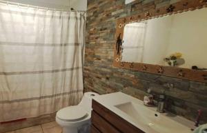 a bathroom with a toilet and a sink and a mirror at Hare Te Maori in Hanga Roa +38 photos