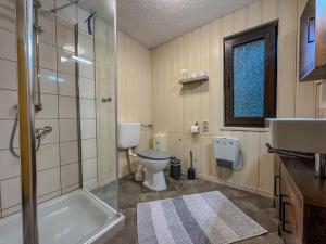 a bathroom with a toilet and a shower and a sink at Knusperhäuschen in Engenstein +15 photos