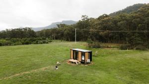 a small cabin in a field in a field at Gumnut by Tiny Away in Kangaroo Valley