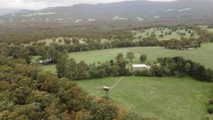 an aerial view of a field with a horse in a field at Gumnut by Tiny Away in Kangaroo Valley