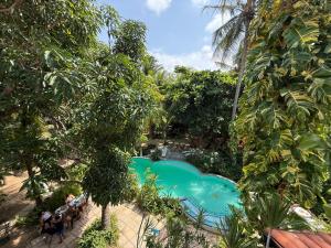 an overhead view of a swimming pool in a garden at Estrela de Mundaú in Trairi +14 photos