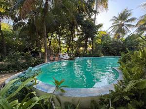a swimming pool in a yard with palm trees at Estrela de Mundaú in Trairi