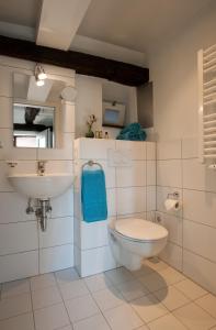 a bathroom with a toilet and a sink at 1463 Apartmenthaus in Karlsruhe