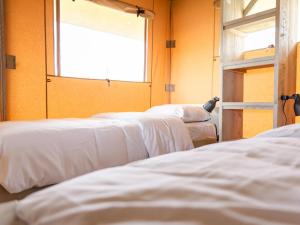 a row of white beds in a room with a window at Glamping Lodge in Westerland +21 photos