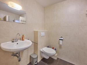 a bathroom with a sink and a toilet at Heidepracht in Putten +37 photos