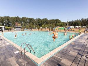 a group of people in a swimming pool at Woodchalet in Vessem
