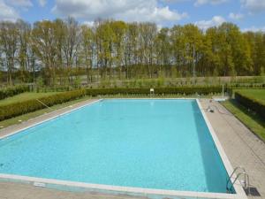 a large swimming pool with blue water at Woodlodge XL 588 in Vessem