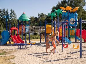 Eine Gruppe Kinder spielt auf einem Spielplatz in der Unterkunft Easy Chalet in Vessem