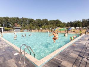 a group of people in a swimming pool at Boslodge in Vessem
