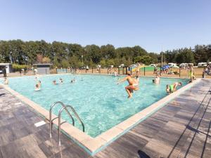 a group of people in a swimming pool at Safaritent 4 in Vessem