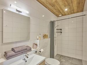 a bathroom with a sink and a toilet and a mirror at De Rouwenbogt in Reusel +51 photos