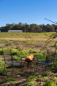 two chairs and a fire pit in a field at Starry Night Farmstay by Tiny Away in Forbes