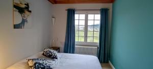 a bedroom with a bed with blue curtains and a window at Balcon des fées in Le Malzieu-Ville