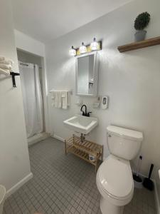 a bathroom with a white toilet and a sink at Great Lakes Resort - Family Suite - Suite 1 in Lexington +9 photos