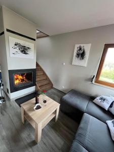 a living room with a couch and a fireplace at BIESZCZADZKI RAJ - DOM nad samym jeziorem, wysoki standard, basen, dostęp do wody, zielona plaża, motorówki, cisza i spokój in Olchowiec +65 photos