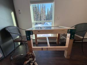 a dog laying next to a table with a glass top at Cozy Container in Soldotna