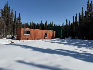 a dog is standing in the snow in front of a building at Cozy Container in Soldotna