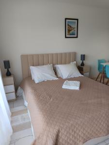 a bedroom with a large bed with a brown comforter at Nice studio 5 minutes walk from the beach in Cagnes-sur-Mer