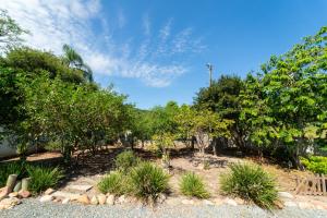 a garden with trees and plants on a sunny day at Hotel Brasil in Penha