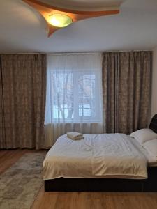 a bedroom with a large bed and a window at Casa Keea in Moieciu de Sus