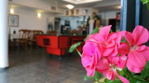 a plant with pink flowers in a room at Casa Di Angel in Sinemorets +52 photos
