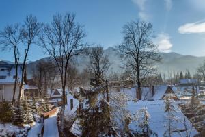 un village enneigé avec des arbres et des maisons dans l'établissement VIP Apartamenty Centrum, à Zakopane