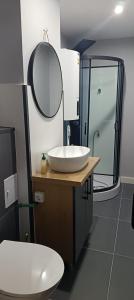 a bathroom with a white sink and a mirror at Central Studio Abrud in Aktenburg