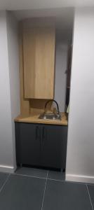 a kitchen with a sink and a counter top at Central Studio Abrud in Aktenburg