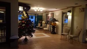 un arbre de Noël dans une pièce avec des chaises dans l'établissement DM Residente Hotel Inns & Villas, à Ángeles