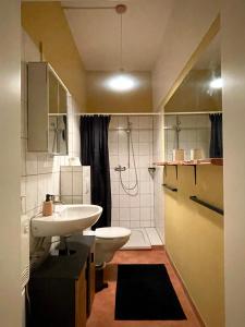 a bathroom with a sink and a toilet and a shower at Das "Alte Jagdhaus" - mit großem Grundstück für 3 Personen in Groß Garz +5 photos