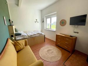 a living room with a couch and a window at Das "Alte Jagdhaus" - mit großem Grundstück für 3 Personen in Groß Garz