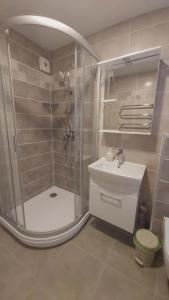 a bathroom with a shower and a toilet and a sink at Apartamentai Nidoje pas Virginą in Nida +4 photos