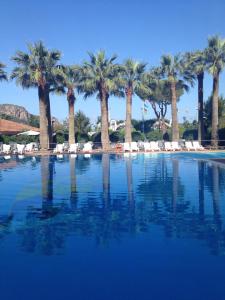a swimming pool with palm trees and lounge chairs at Villaggio Turistico La Mantinera - Residence in Praia a Mare