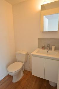 a bathroom with a white toilet and a sink at Le Petit Talensac in Nantes