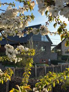 a house withakuraakura trees in front of it at Gastenverblijf Chambre dAmis in Heers