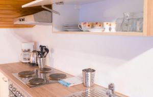 eine Küchentheke mit einem Kochfeld in der Küche in der Unterkunft Alpenresorts in Jerzens