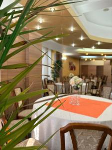 a meeting room with a table and chairs at Hotel Emma West in Craiova