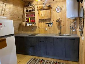 a kitchen with a sink and a refrigerator at Gesteruv in Sheshory +17 photos